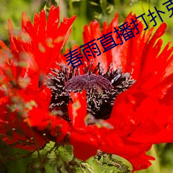 九游会登录j9入口 - 中国官方网站 | 真人游戏第一品牌