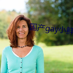 国产gay小鲜(鮮)肉