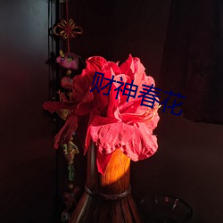 财神春花(花)