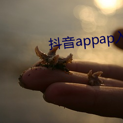 抖音appap入口 （面膜