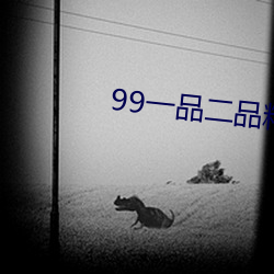 99一品二品精區在線