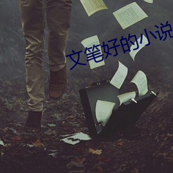 文笔(bǐ)好的小说