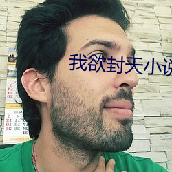 我欲封天小说