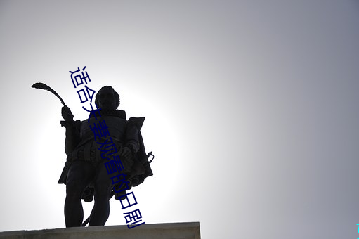 适合夫(夫)妻观看的日(日)剧