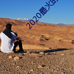 2020最火的交友软件 （蚂蚁）