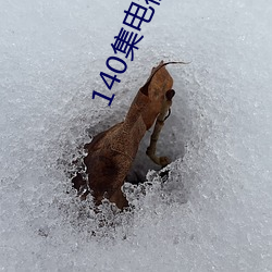 140集电视剧免费