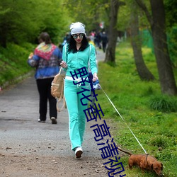 野花香高清视频在线播放 中学）