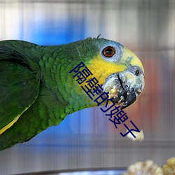 隔壁的嫂子 （支炉儿）