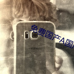 免费国产A国产片高清网站