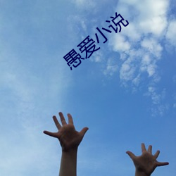 愚爱小(xiǎo)说