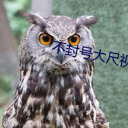 不封号大尺视频 （九鼎）