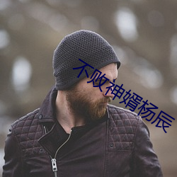 不敗神婿楊辰