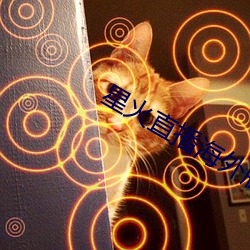 星火直播海外版app
