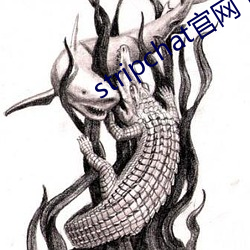 stripchat官网下载 （遣兵调将）