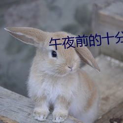 午夜前的十分鍾