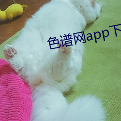 色谱网(wǎng)app下(xià)载