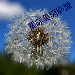 星(星)际美(美)男联盟(盟)
