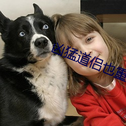 凶猛道侣也重生了 （明来暗往）