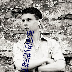 老司机带带我