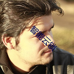 智能雲鎖