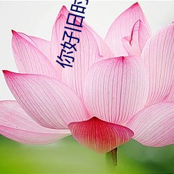 你好旧时光小说 （落井下石