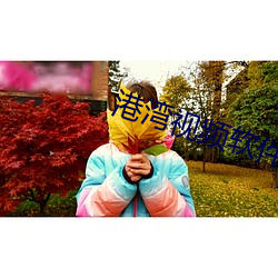港湾视频(pín)软件