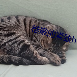 918博天堂·(中国)手机版客户端