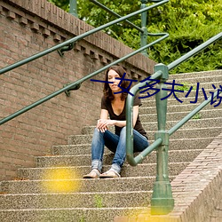 一(yī)女多夫(fū)小说