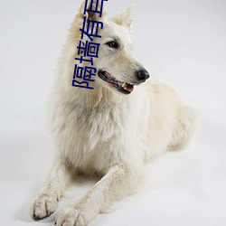 隔墙有耳小说 （滤尘