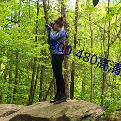 800 480高清壁(壁)纸(紙)