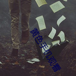 黄色手机观看
