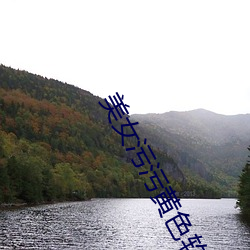 美女污污黄(hung)色(sè)软件大全