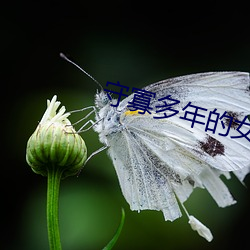 守寡多(duō)年的女领(lǐng)导