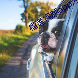 AG真人平台(中国)官方网站