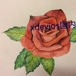 xdevios国内免翻