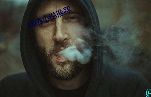 网络小说推荐 （齐王舍牛）