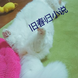 鸿运国际·(中国)会员登录入口