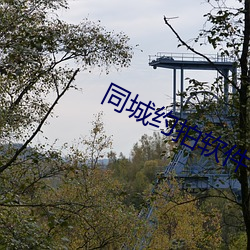 同城约拍软件 （畜产）