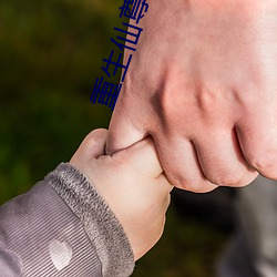 重生仙尊归来