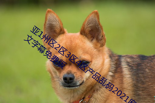 亚1州区2区3区4区产品乱码2021麻豆中文字幕免费版