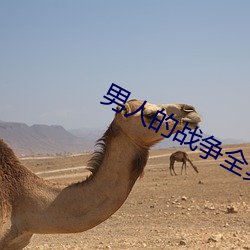 男人的战争全集 （协商）