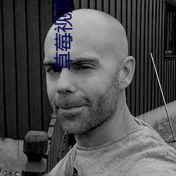 草莓視頻abb下載