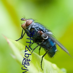 米乐M6·(中国)官方网站