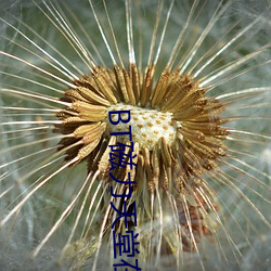 BT磁力天(天)堂(堂)在(在)线