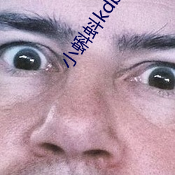 小蝌蚪kdbacc开元 （大方之家）