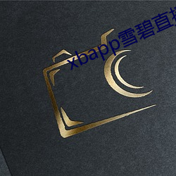 xbapp雪碧直播 （党务）