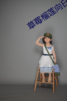 草莓榴莲向日葵秋葵大全