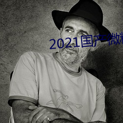 2021国产微精柏