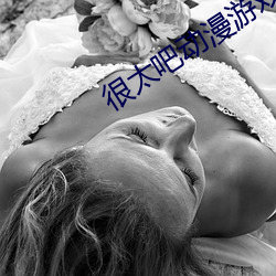 很太吧动漫游戏官方网站 毒枭）