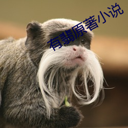 有翡(翡)原著小说